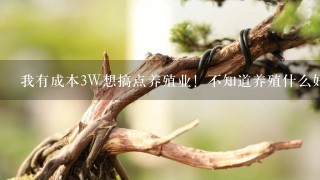 我有成本3W想搞点养殖业！不知道养殖什么好点。。最好就是快回本的。投资时间不要那么久的！谢谢了！