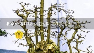 北京中诺口腔医院医保可以报销吗