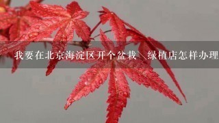 我要在北京海淀区开个盆栽＼绿植店怎样办理个体工商户营业执照？需要多少钱？越详细越好，多谢了！！1