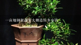 1亩地钢架蔬菜大棚造价多少钱