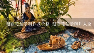 迎春花盆景制作及价格 迎春花盆景图片大全