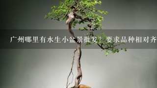 广州哪里有水生小盆景批发？要求品种相对齐全的，是水生的那些哦！谢谢~