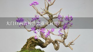 大门口两边种什么花或树好?