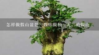 怎样做假山盆景？教你做独1无2的假山