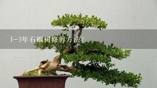 1-3年石榴树修剪方法？