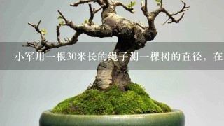 小军用1根30米长的绳子测1棵树的直径，在树干上绕了10圈多了1.74米。这棵树的直径大约是多少米？