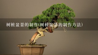 树桩盆景的制作(树桩盆景的制作方法)