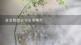 盆景租摆公司需要哪个