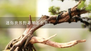 迷你世界野苹果怎么弄？