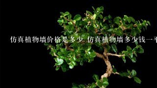 仿真植物墙价格是多少 仿真植物墙多少钱1平方