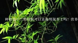 种植君子兰的时候可以直接用泥养土吗？营养土贵不贵