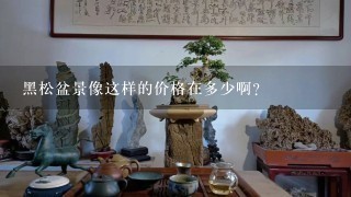 黑松盆景像这样的价格在多少啊？