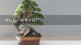 罗汉松1棵多少钱？