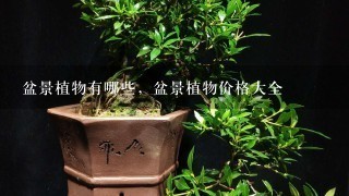 盆景植物有哪些，盆景植物价格大全