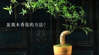 盆栽木香花的方法？