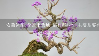 安徽沭阳 盆景出售地 都有哪些？ 主要是要有 榆树 枫树 对接白蜡 朴树 大板松等 急~~！！！速度