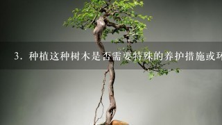 3. 种植这种树木是否需要特殊的养护措施或环境条件要求比较高吗？如果是的话，那么它的栽培成本会更高还是更低呢？