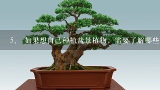 <br/>5、 如果想自己种植盆景植物，需要了解哪些知识和技巧吗？