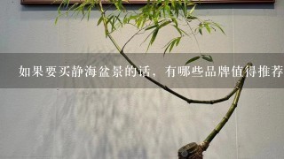 如果要买静海盆景的话，有哪些品牌值得推荐吗？