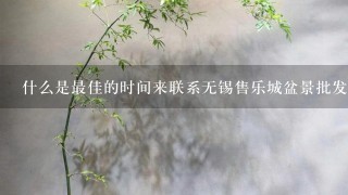 什么是最佳的时间来联系无锡售乐城盆景批发商家以获取最新的报价单？