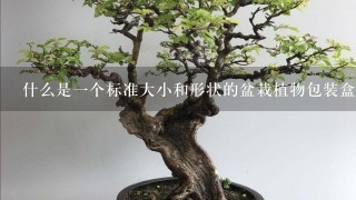 什么是一个标准大小和形状的盆栽植物包装盒？