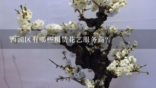 西湖区有哪些租赁花艺服务商？