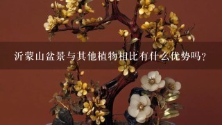 沂蒙山盆景与其他植物相比有什么优势吗？