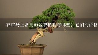 在市场上常见的盆栽植物有哪些？它们的价格范围是多少呢？