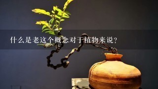 什么是老这个概念对于植物来说？