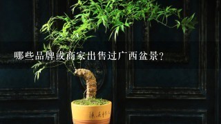 哪些品牌或商家出售过广西盆景？