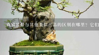 直销盆景与其他类似产品的区别在哪里？它们之间的竞争格局如何演变？