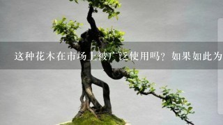 这种花木在市场上被广泛使用吗？如果如此为什么人们选择它作为装饰物而不是其他选项？