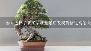 如果选择了要买某款盆景后发现价格过高怎么办？