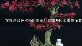 在选择绿色植物时需要注意哪些因素来确保其健康成长并能持续多年存活下去？