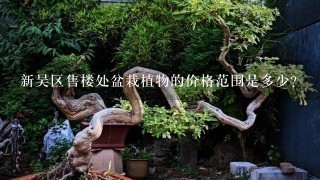 新吴区售楼处盆栽植物的价格范围是多少？