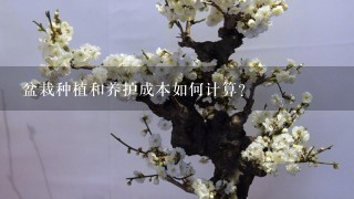 盆栽种植和养护成本如何计算？