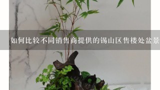 如何比较不同销售商提供的锡山区售楼处盆景批发的价格差异？