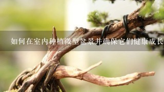 如何在室内种植微型盆景并确保它们健康成长呢？