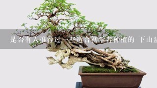 是否有人推荐过一些适合初学者种植的