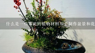 什么是一些常见的植物材料用于制作盆景和花坛中的草皮吗？