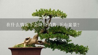 在什么情况下会降价销售