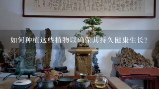 如何种植这些植物以确保其持久健康生长？