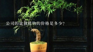 公司的盆栽植物的价格是多少？