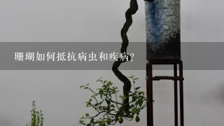 珊瑚如何抵抗病虫和疾病?