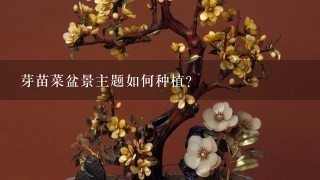 芽苗菜盆景主题如何种植?