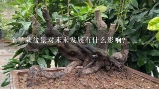 金星蕨盆景对未来发展有什么影响?