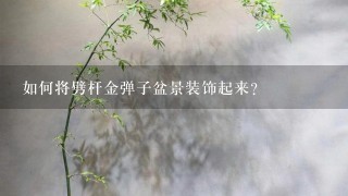 如何将劈杆金弹子盆景装饰起来?