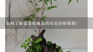 如何了解盆景收藏品的历史价格数据?