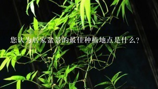 您认为居家盆景的最佳种植地点是什么?