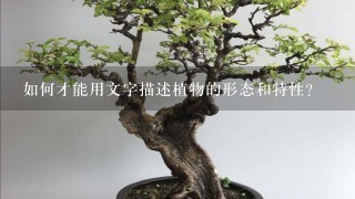 如何才能用文字描述植物的形态和特性?